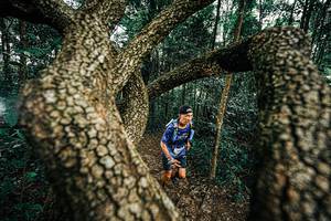 BIB: 
                            <button type="button" onclick="openModal(25393319)" class="btn btn-primary btn-sm float-right btn-popup" data-toggle="modal" data-target=".modal-high-quality">
                        <i class="fas fa-shopping-cart"></i> Add to Cart
                    </button>
                                            <button type="button" onclick="isThisMe(25393319, true)" class="btn btn-success btn-sm float-right btn-popup btn-isme hidden" data-toggle="tooltip" data-placement="bottom" title="นี่คือรูปของคุณใช่ไหม คลิกที่นี่เพื่อเอาเข้าอัลบั้ม">
                        <i class="fas fa-plus"></i> Add to album
                    </button>
                    <button type="button" onclick="isThisMe(25393319, false)" class="btn btn-warning btn-sm float-right btn-popup btn-isnotme hidden">
                        <i class="fas fa-ban"></i> Remove from album
                    </button>